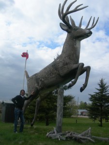 Biggest Buck