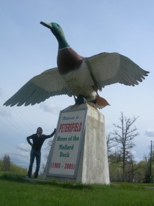 Biggest Duck
